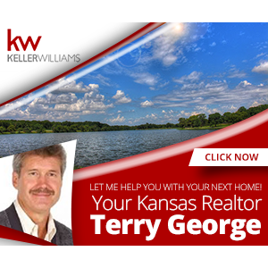 Terry George Realtor