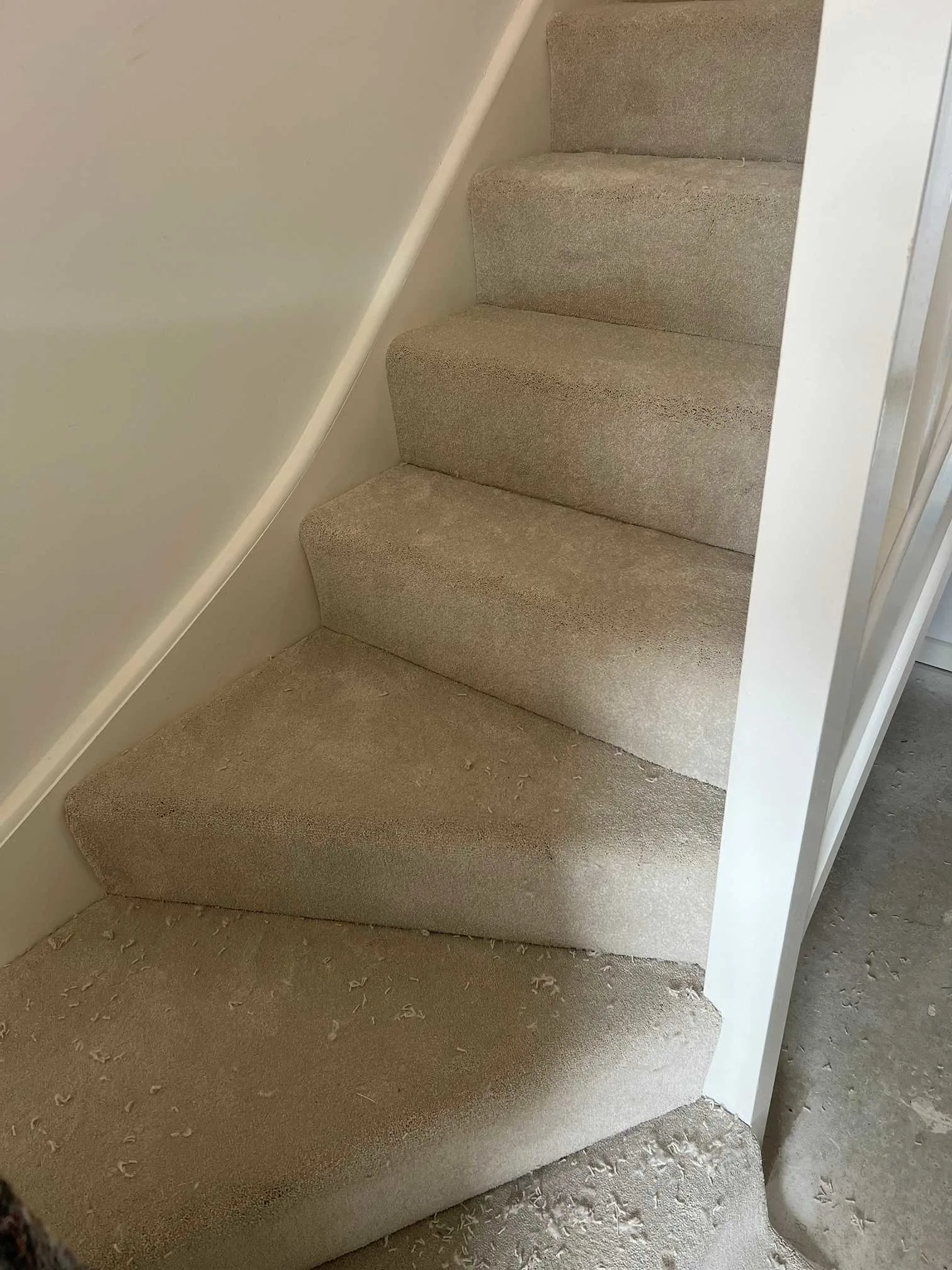Images Special Ops Flooring