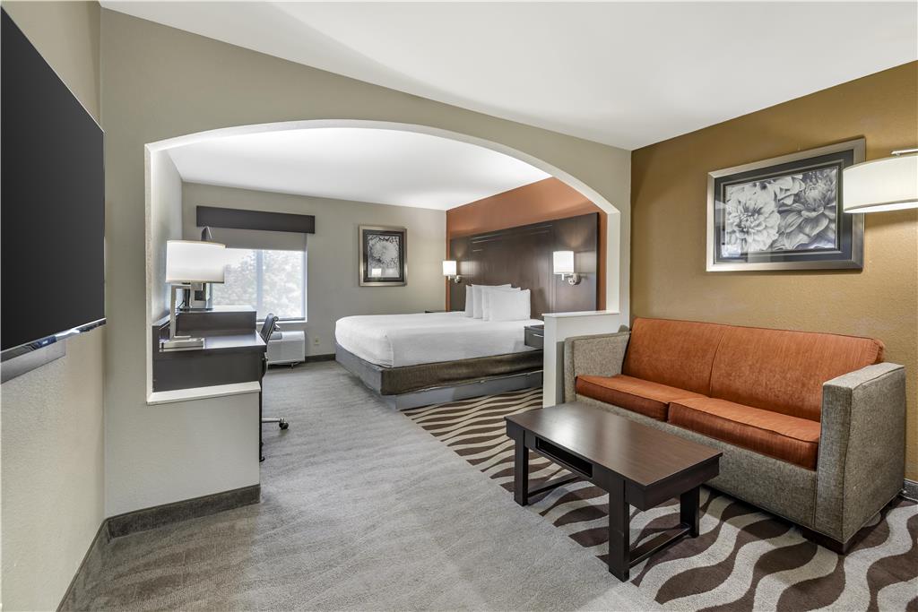 King Suite with sofa bed