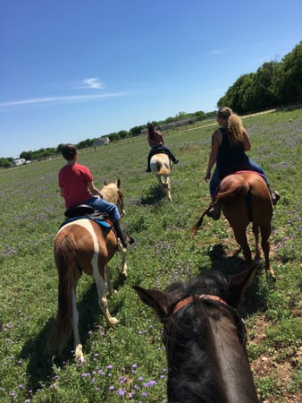 Images Peaceful Acres TX