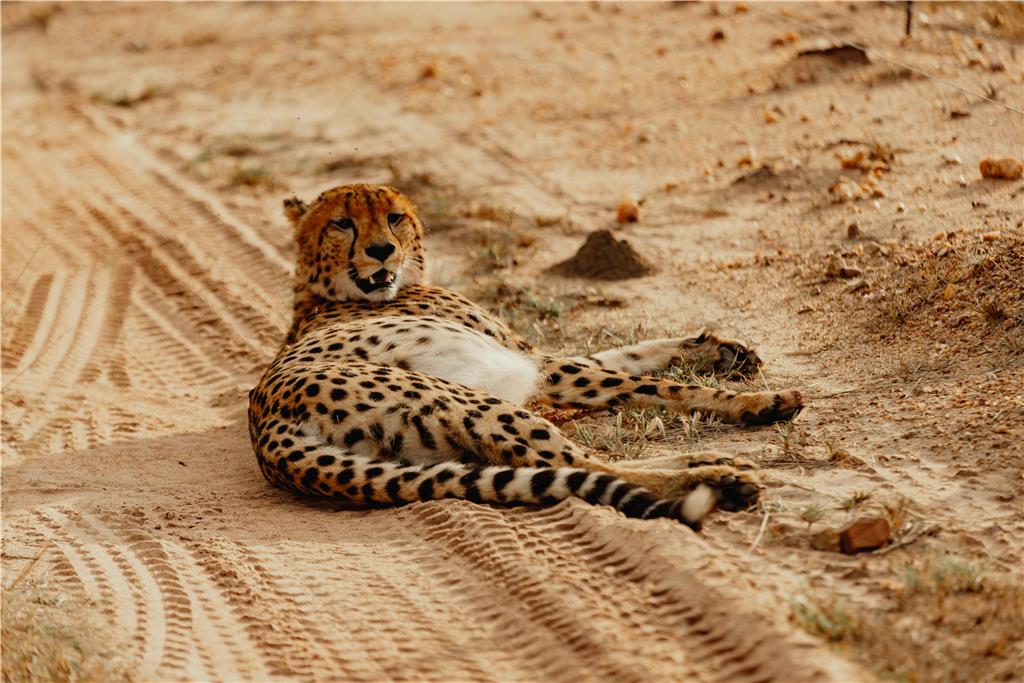 Images Radisson Safari Hotel Hoedspruit