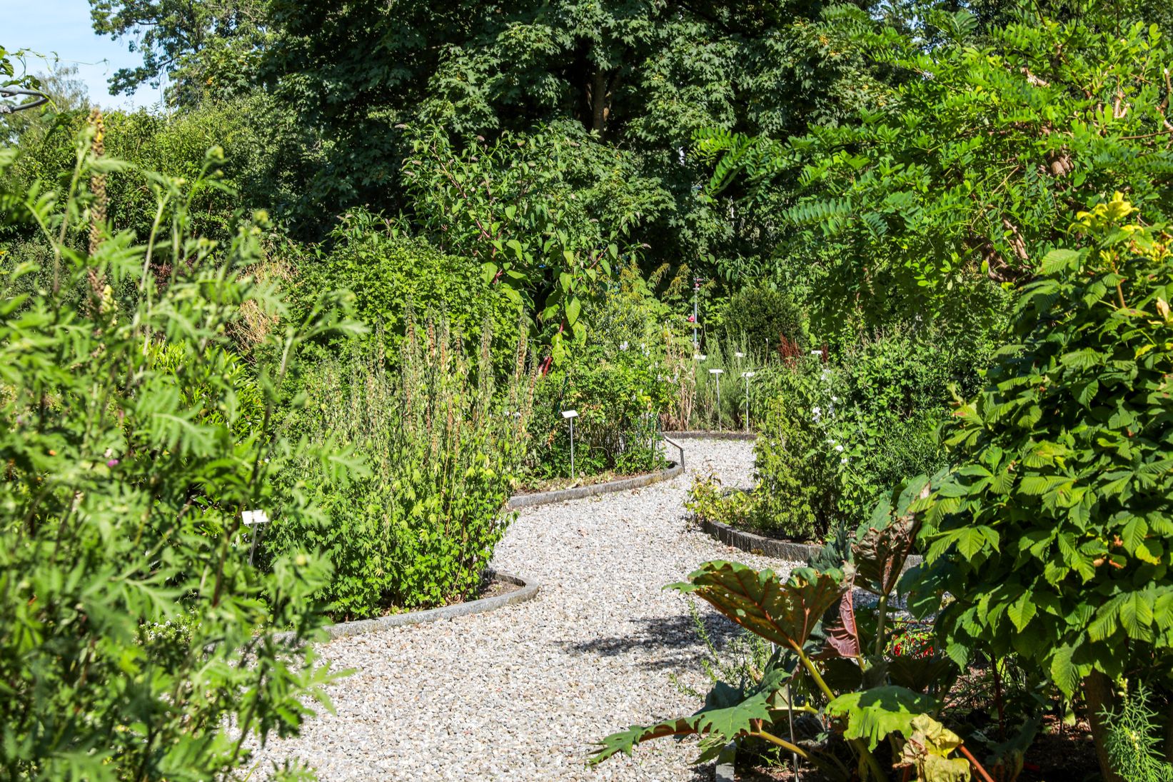 Bilder SHI Haus der Homöopathie