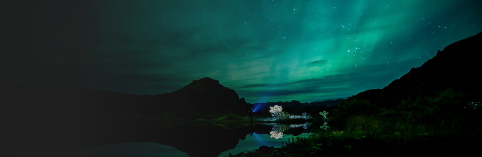 The aurora borealis.