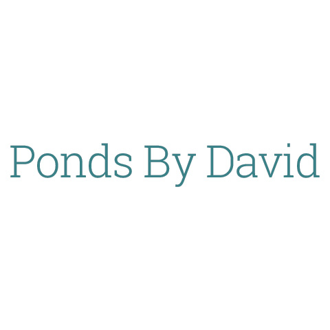 Ponds By David
