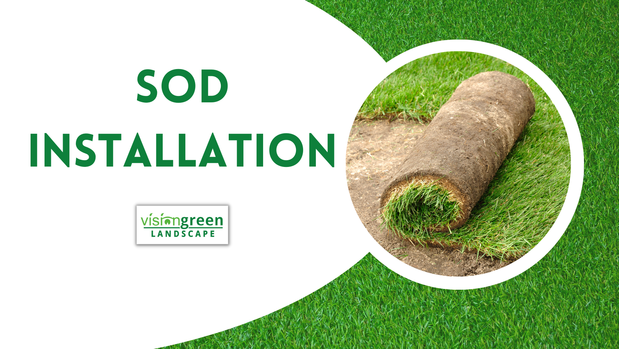 Images Vision Green Landscape