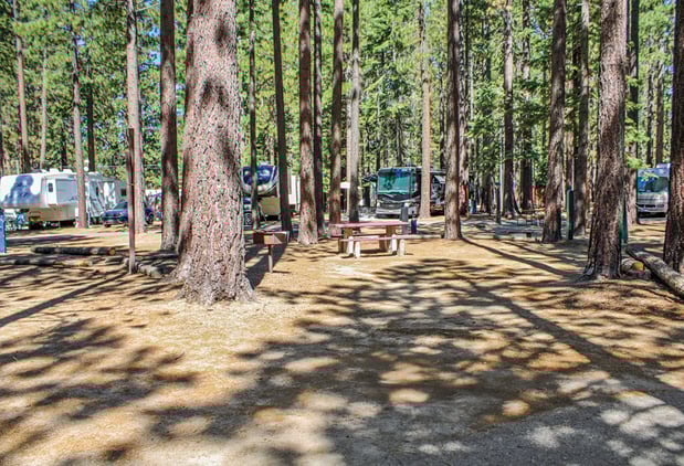 Images Tahoe Valley Campground
