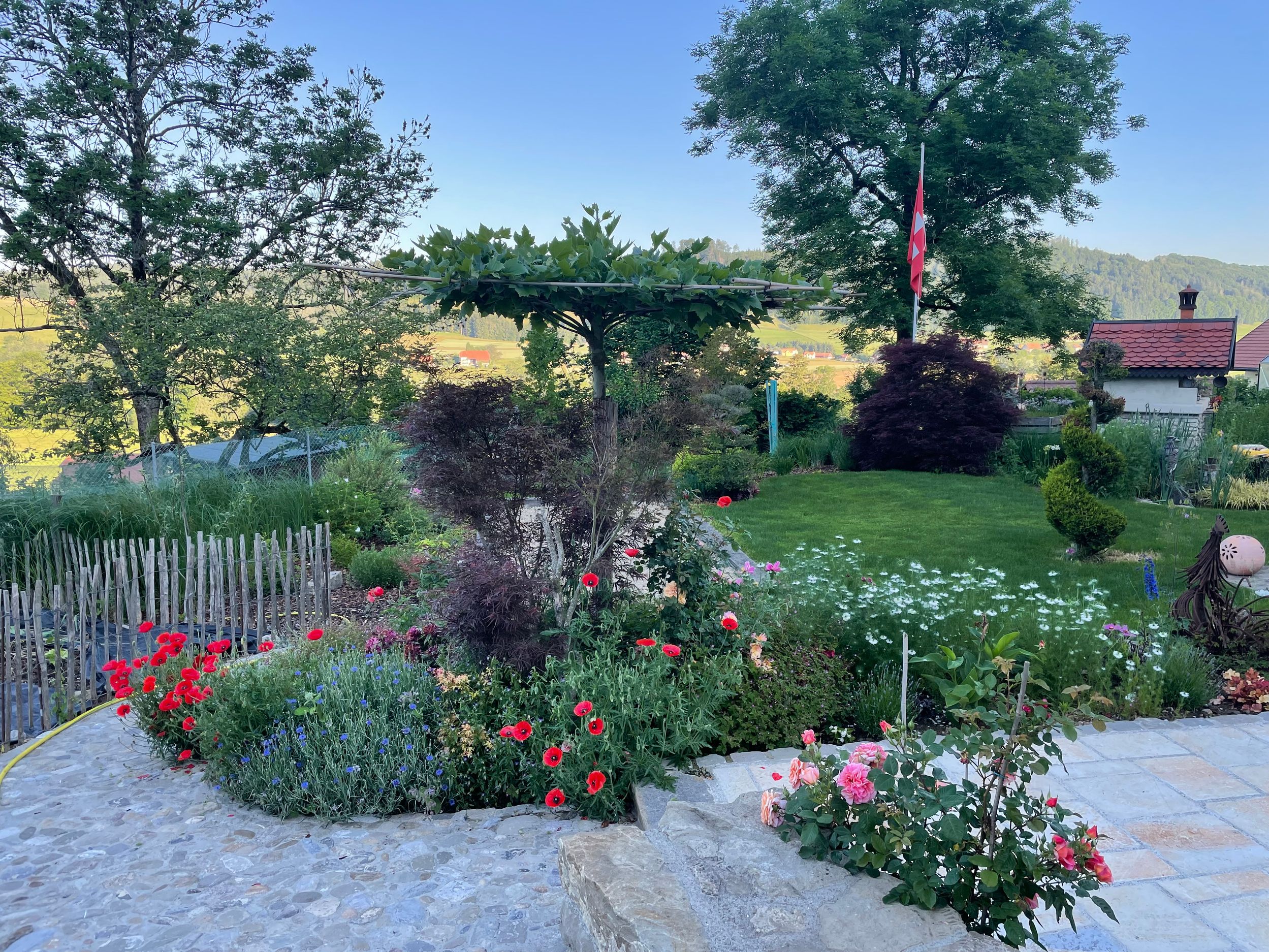 Bilder Alain Dutoit Jardinier-Paysagiste Sàrl