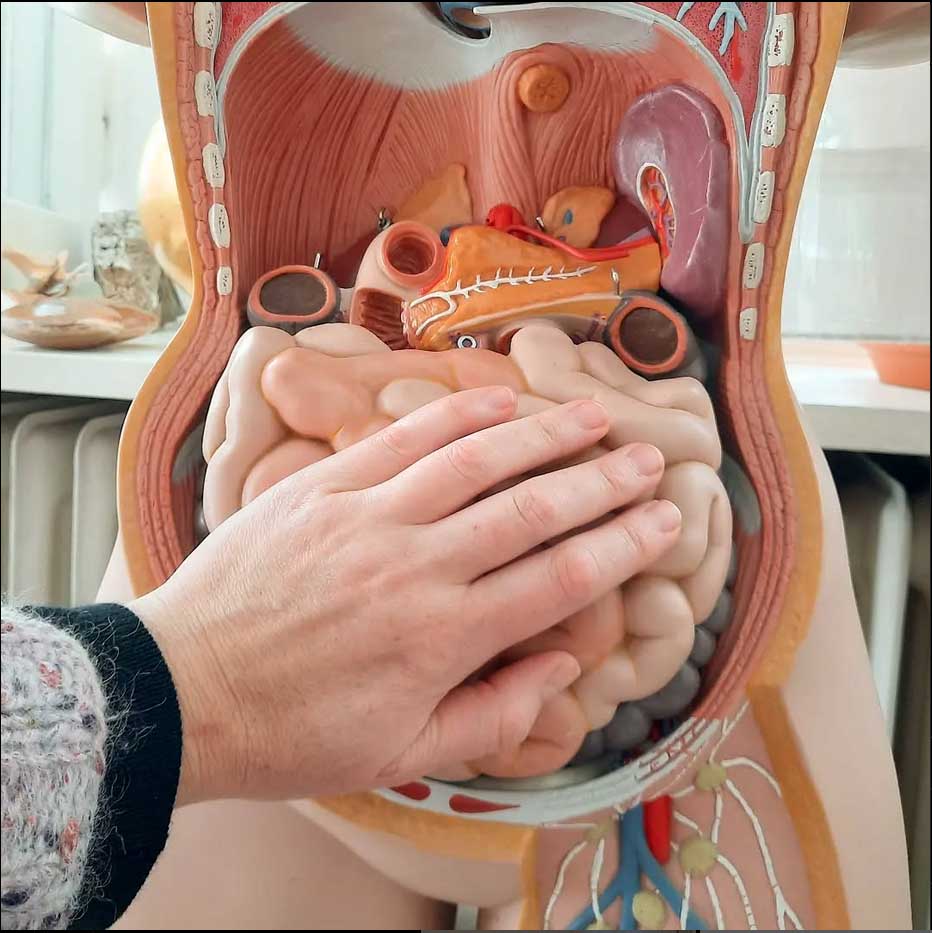 Bild 4 von Cranio Raum Linz