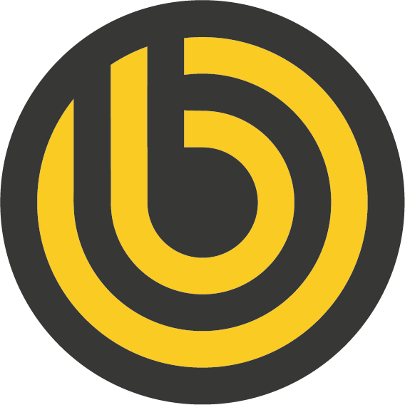 Blind S.r.l. Logo