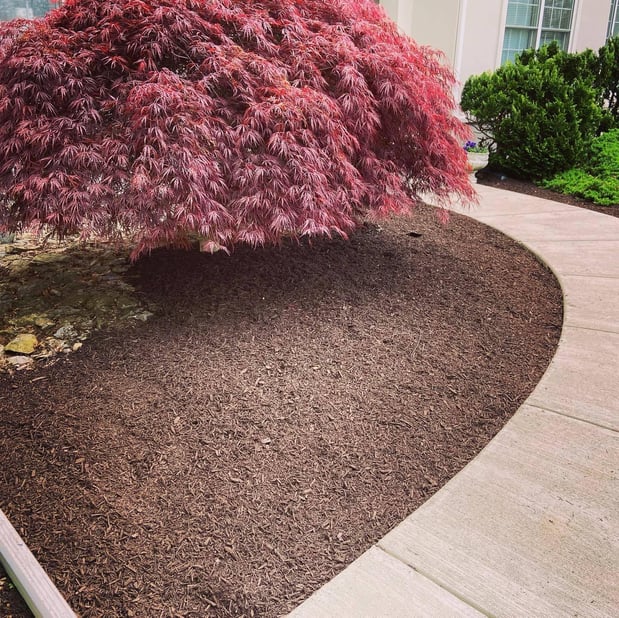 Images Barr Landscaping