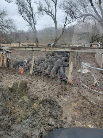 Images McIntire Plumbing & Do All Service, LLC