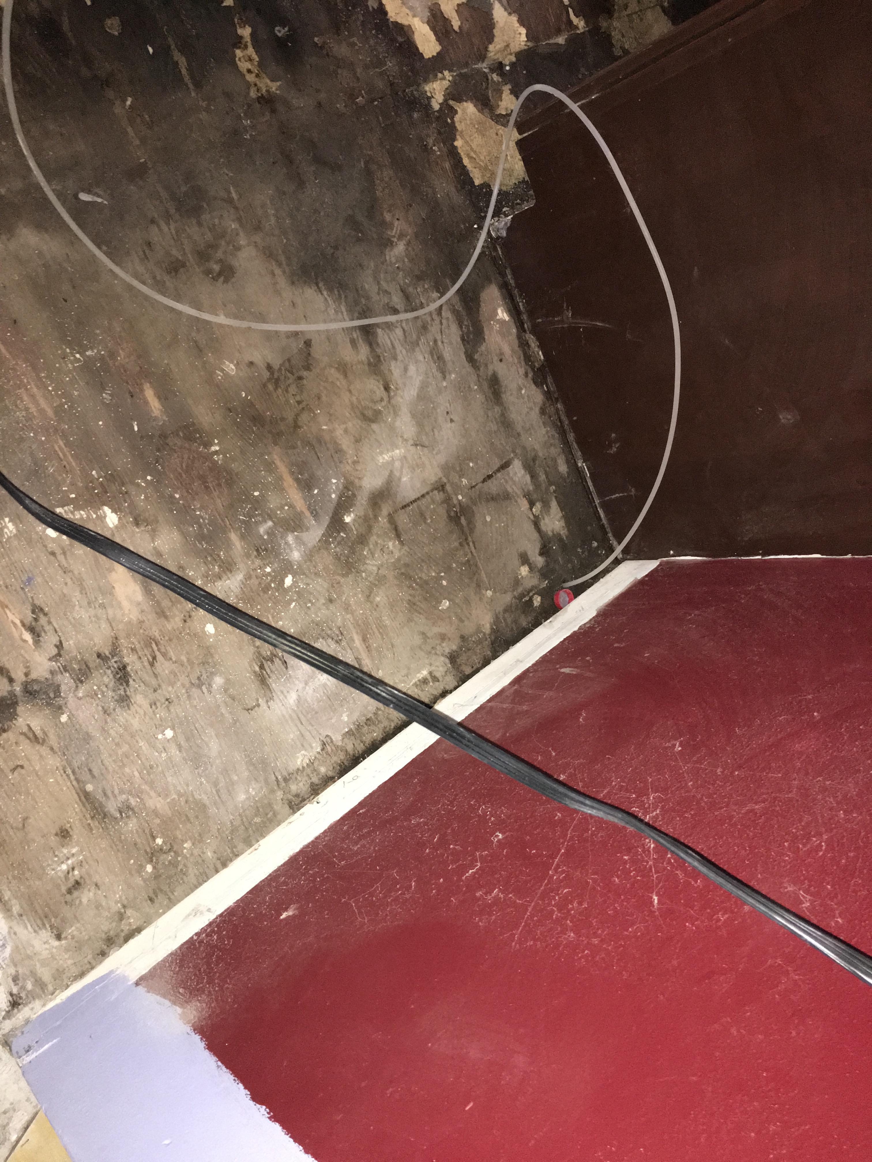 Floors ruined due to a mold outbreak.