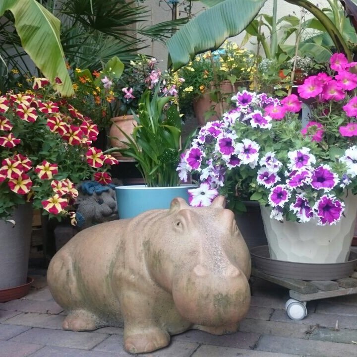 Abelia Pension und Ferienwohnungen Helmstedt, Alte Siedlung 3 in Helmstedt