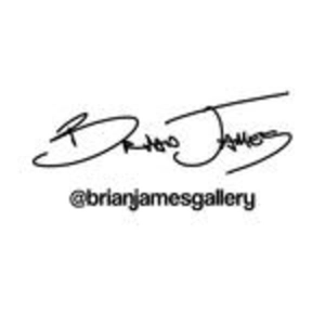 Brian James Gallery Photography