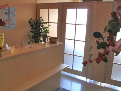 Praxis für Physiotherapie Eva Bohot, Rothenburger Straße 34 in Dresden