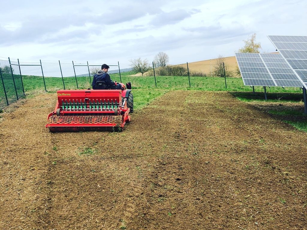 Bilder SLP Kraus GmbH | Photovoltaikflächen-Management & Grünpflege