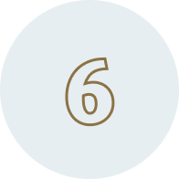 Number 6 in circle icon.