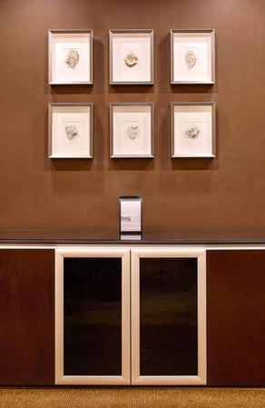 Images Hilton Denver City Center