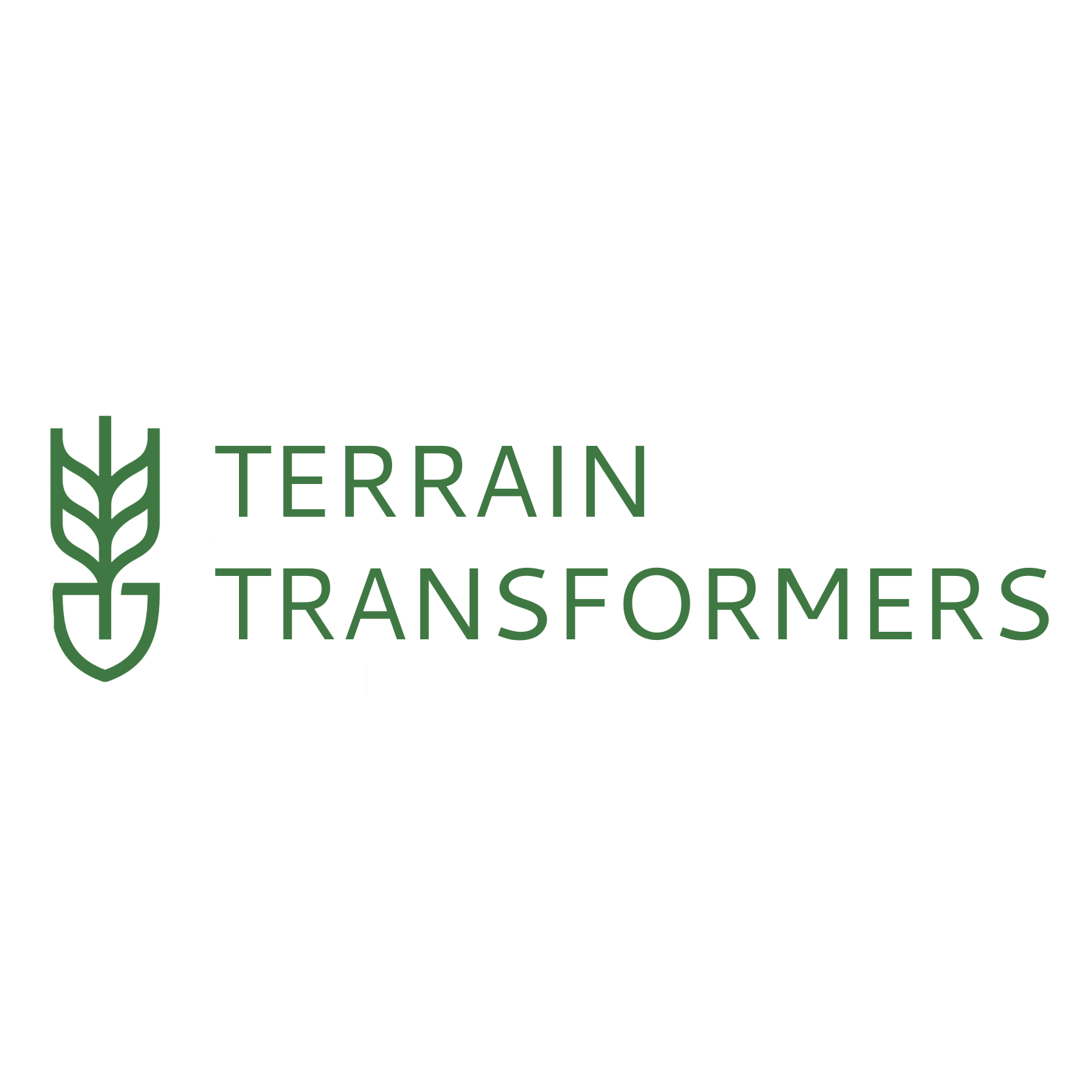 Terrain Transformers