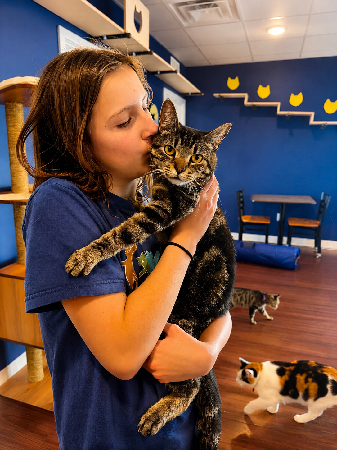 Share a special moment at Bertha's Beans Cat Café as a guest cuddles a friendly tabby cat. Enjoy a c 