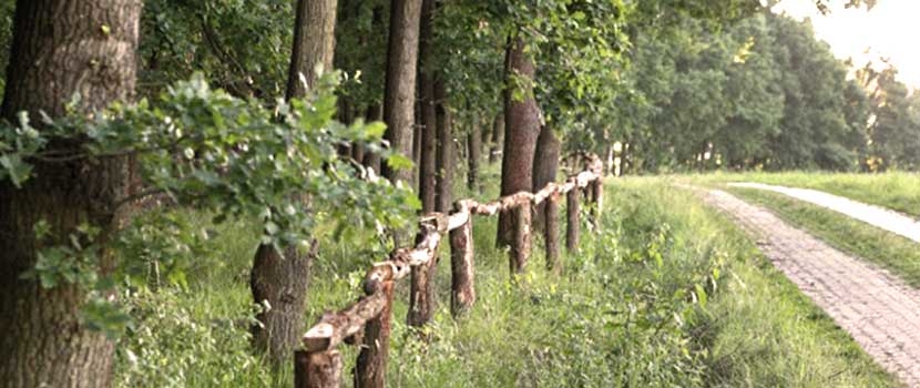 Waldfriedhof Schönburger Land, Schettlermühle 2 in Callenberg OT Falken