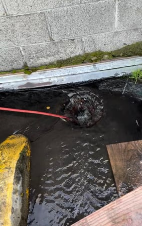 Images Knight Rooter Sewer & Drain Cleaning Services