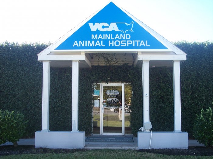 Images VCA Mainland Animal Hospital
