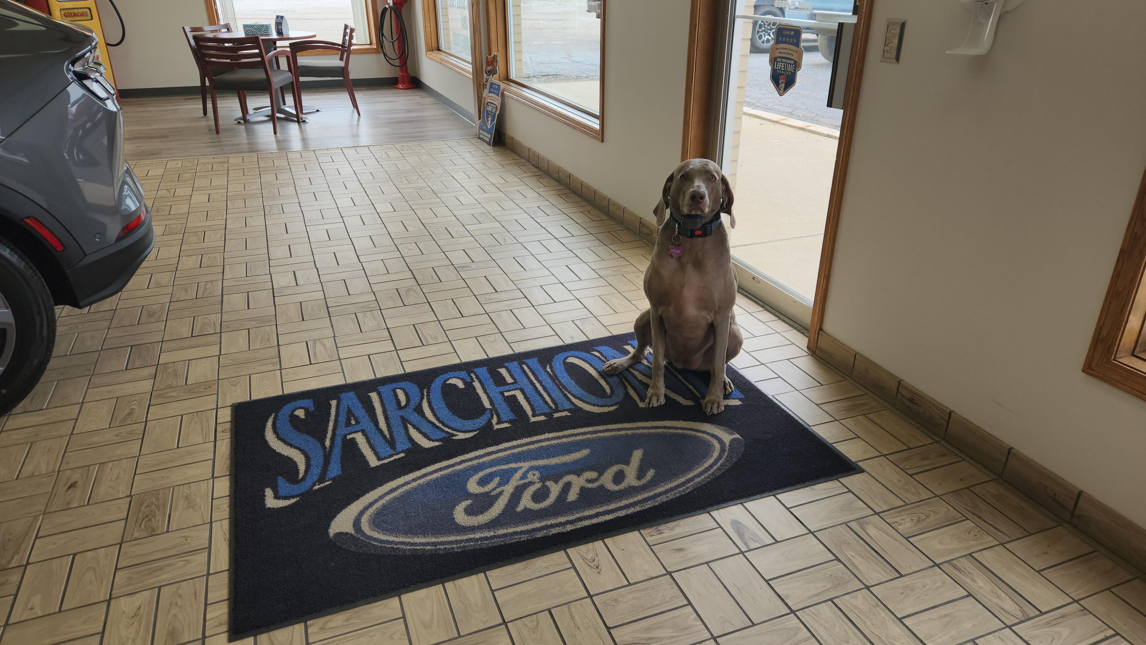 Image 8 | Sarchione Ford of Waynesburg