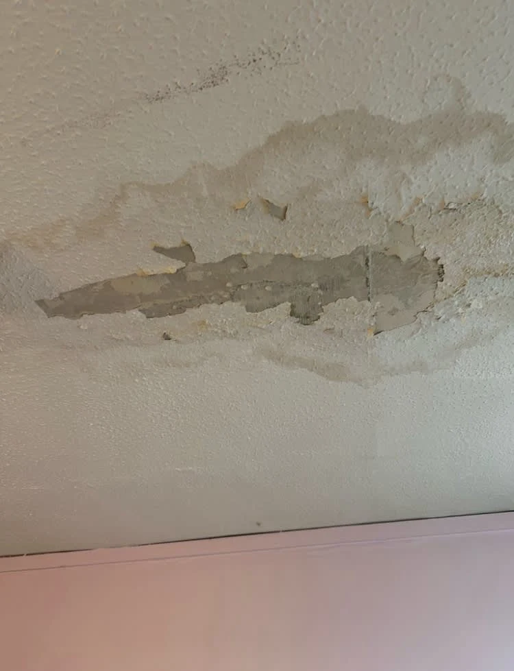 Images Housing Disrepair Experts