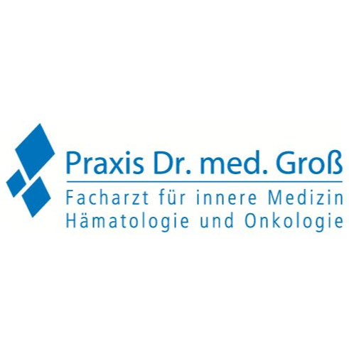 Stefan Groß FA f. Innere Medizin in München - Logo
