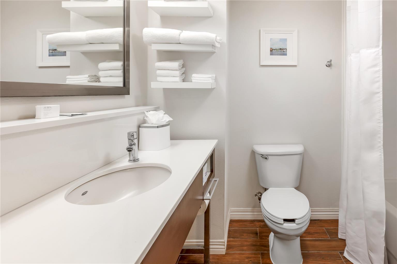 Guest room bath 