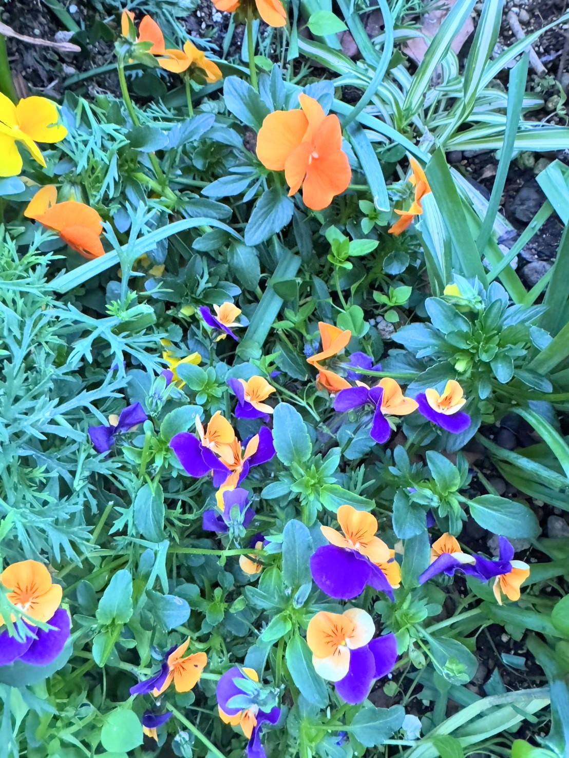 Images 横浜の大衆焼肉 弘明寺駅前店