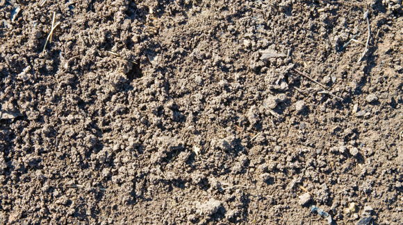 Images Patajoki & Tarkkala Oy