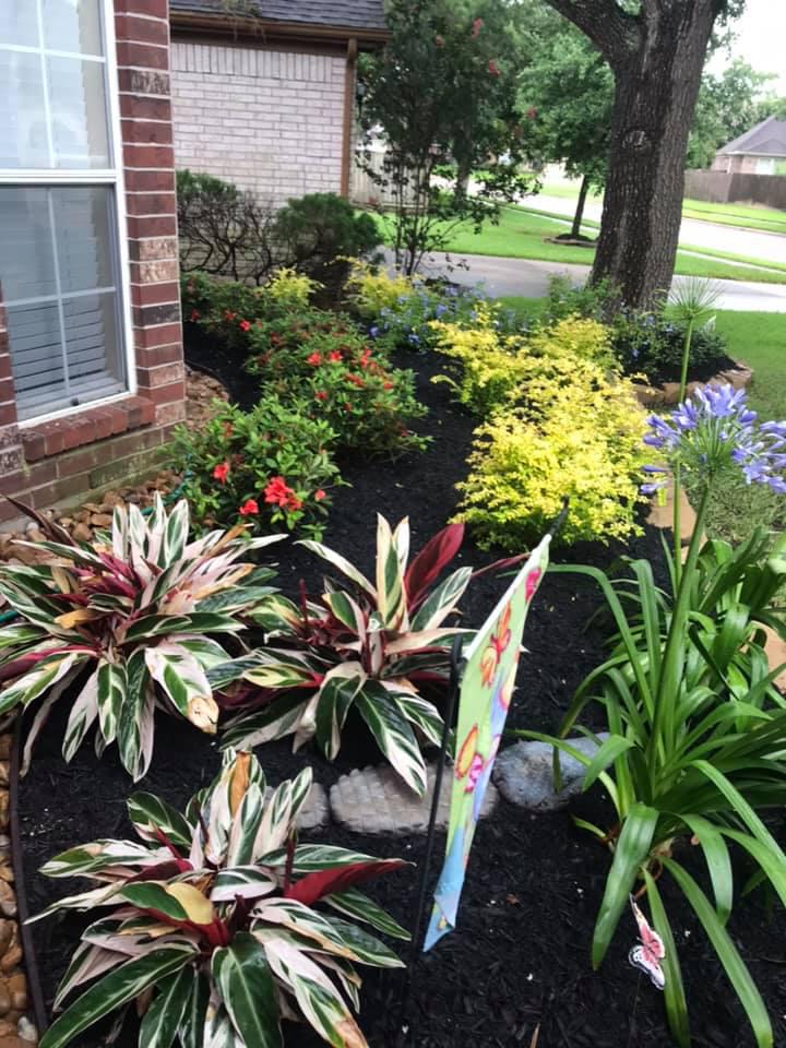 Cut Above Landscaping and Irrigation Photo