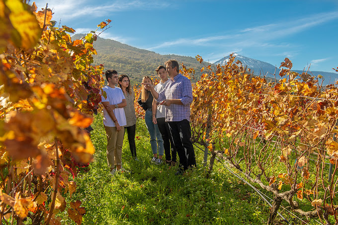 Images Bodega Viña Estévez