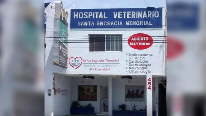 Foto de Hospital Veterinario Santa Engracia Memorial Monterrey
