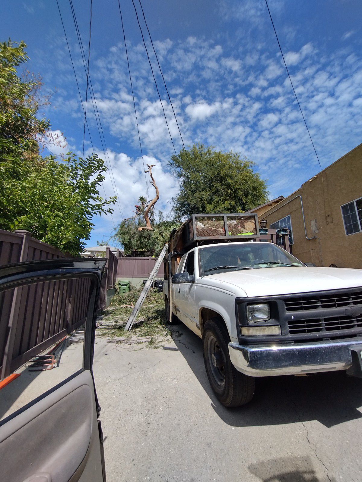 Nelson Pineda Landscaping - tree removal