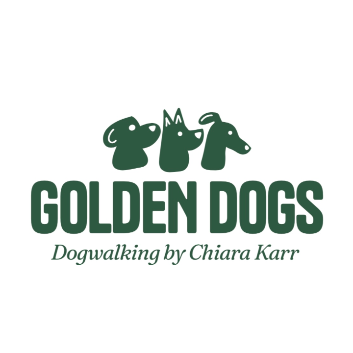 Golden Dogs - Dogwalking by Chiara Karr