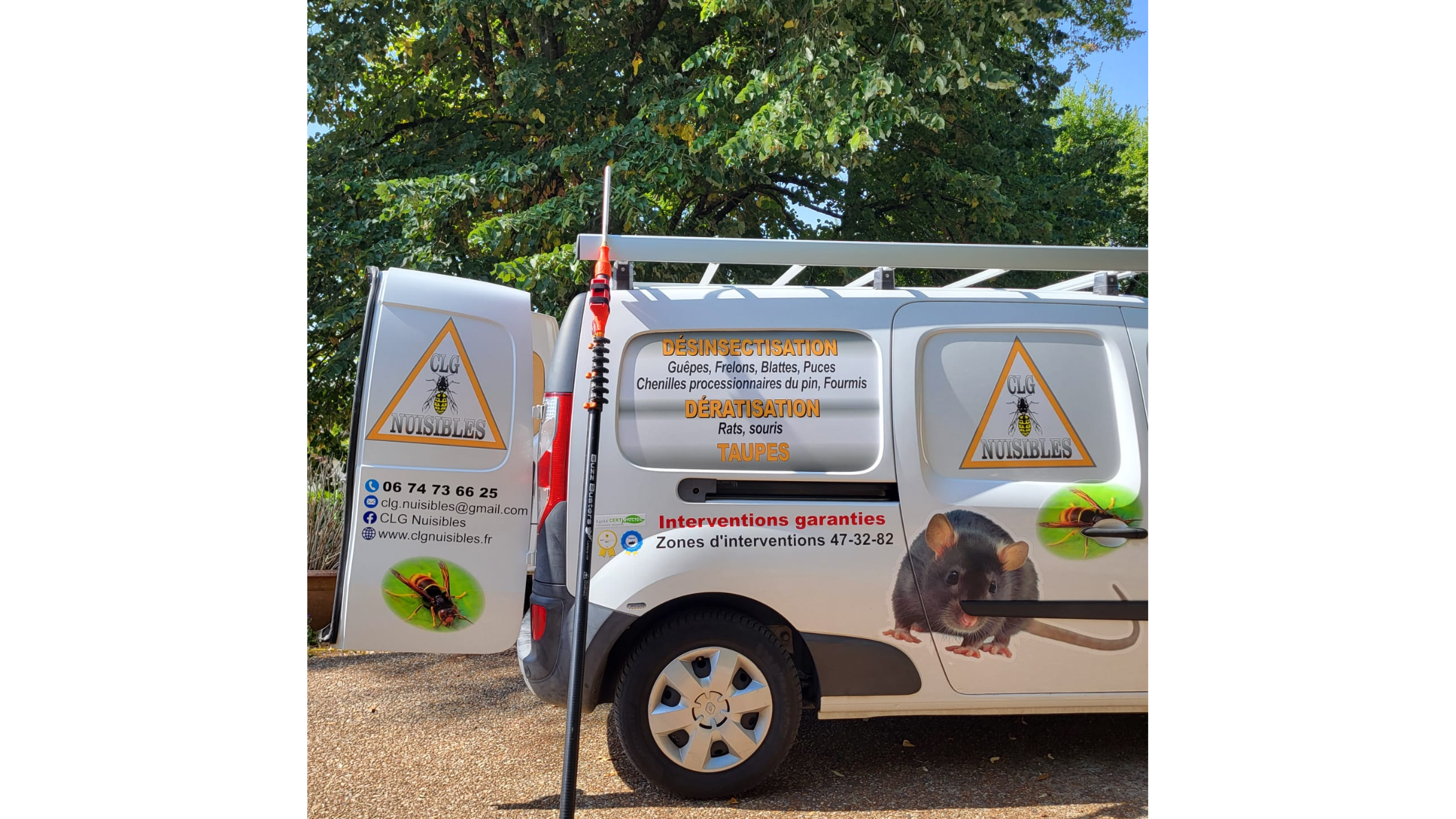 Images CLG Nuisibles-Guêpes-Frelons