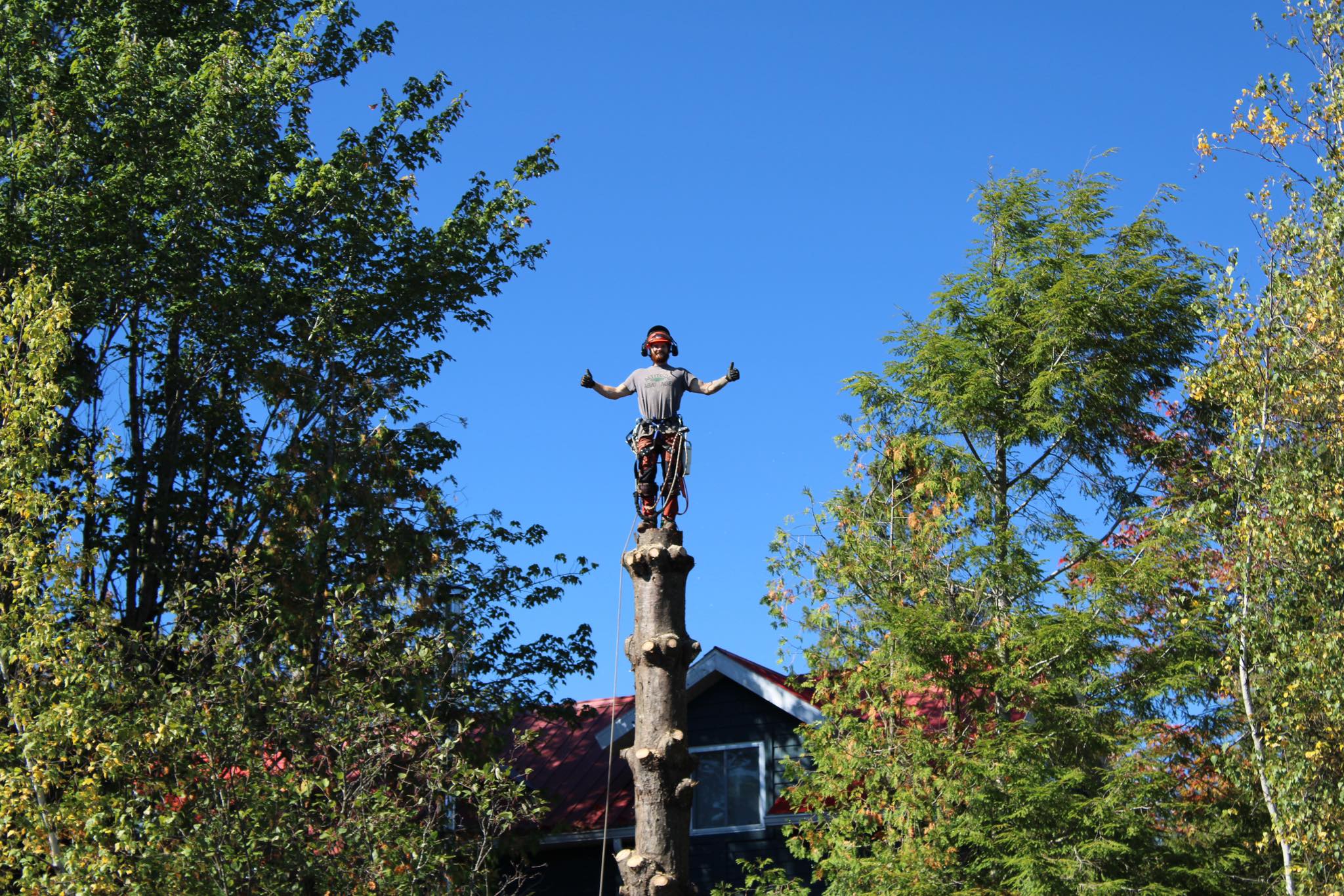 Images Altitude Abattage - Services d'arbres, Élagage, Émondage Eastman