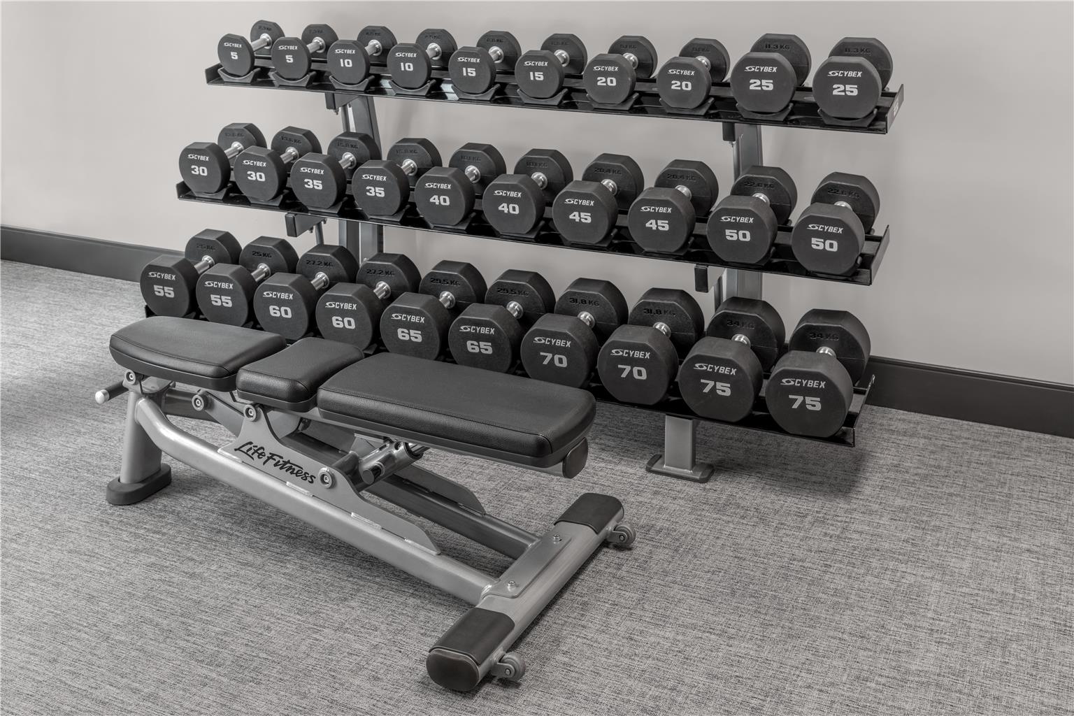 Health club  fitness center  gym