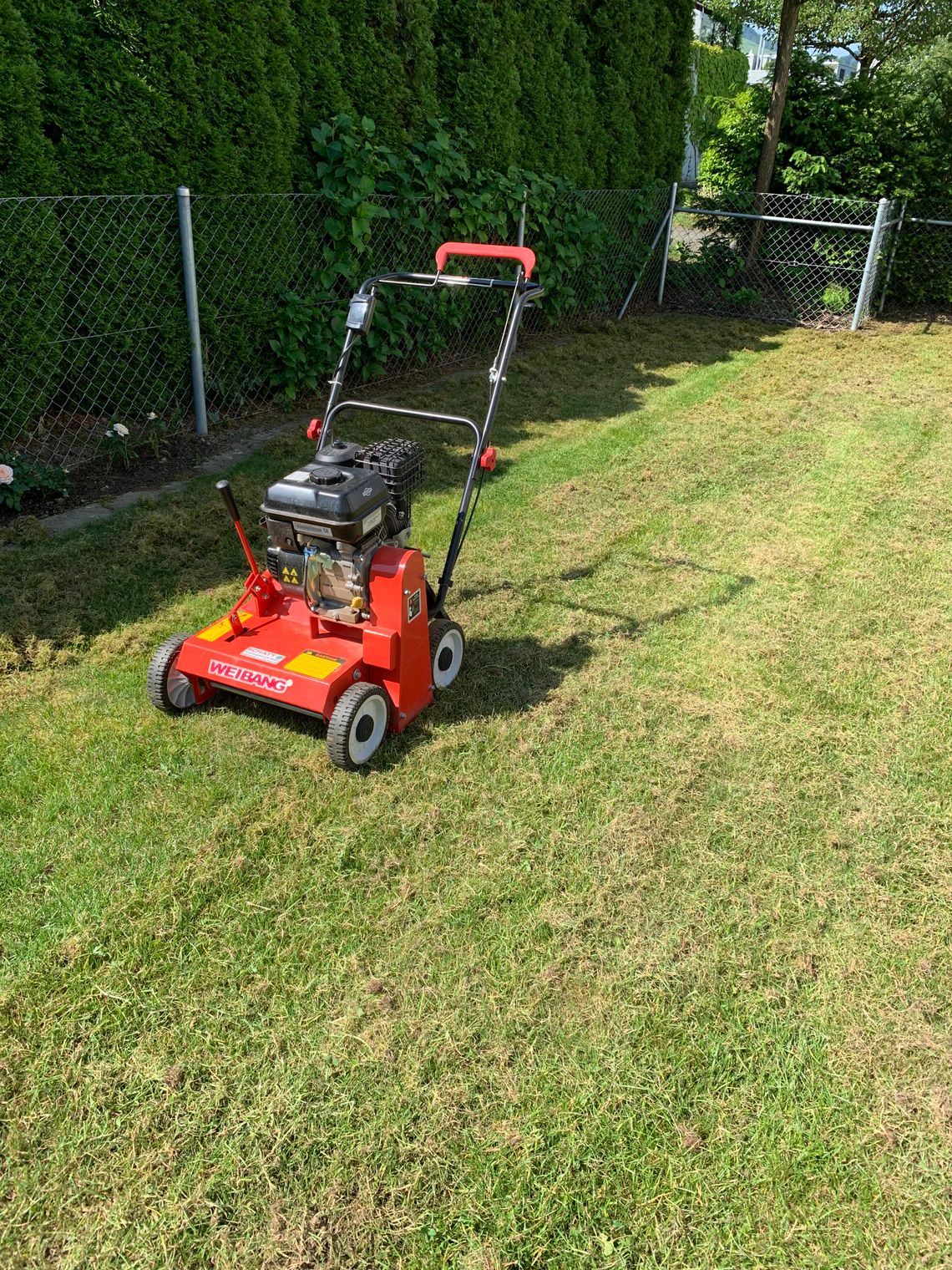 Bilder Casa Grande Hauswartung GmbH