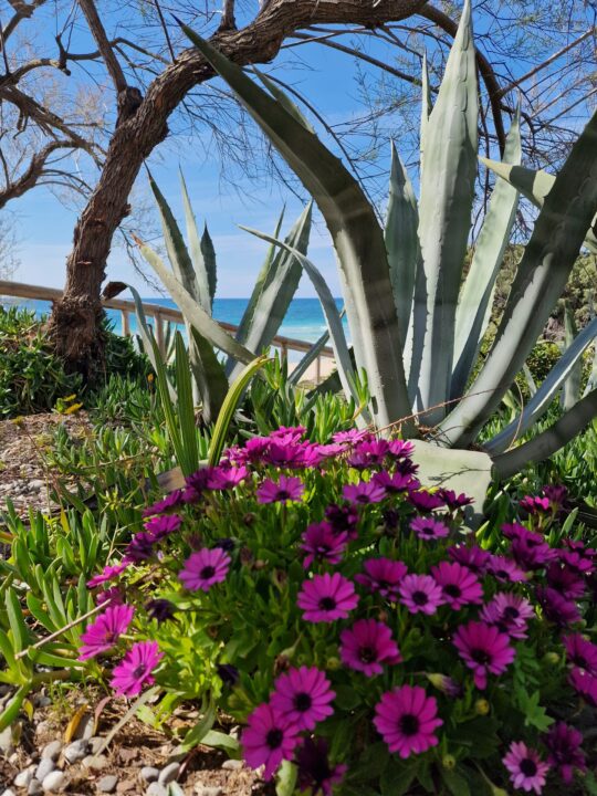 Images Aquarium Residence