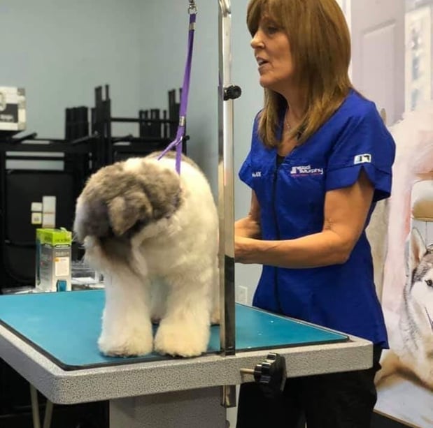 Images San Diego Grooming Academy