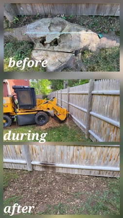 Images Maineland Stump Grinding
