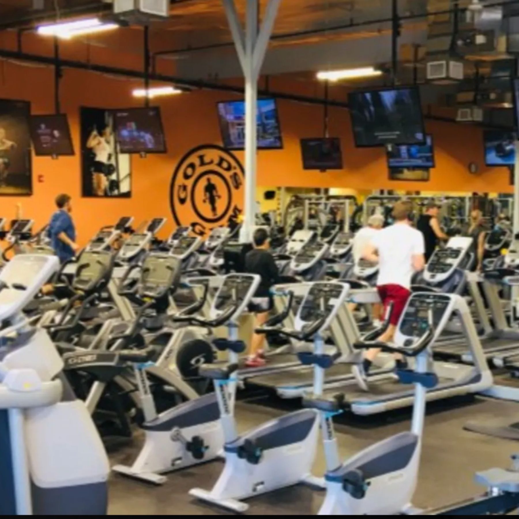 Members are using the cardio equipment at our Cheyenne gym, with rows of treadmills, bikes, and ellipticals stretching across the fitness floor. Large TVs and the Gold's Gym logo on the bright orange wall create an energetic atmosphere for every workout.