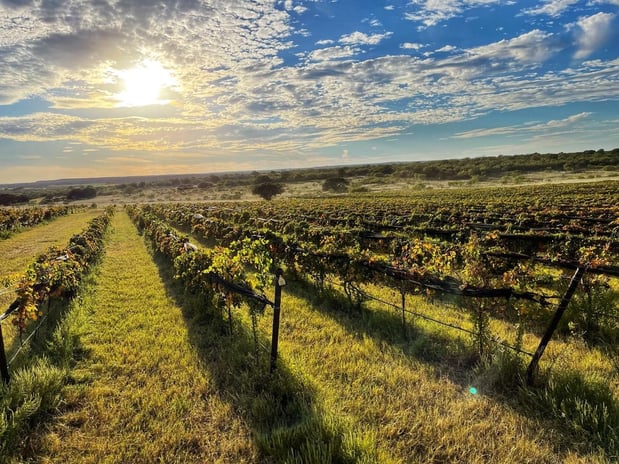 Images Robert Clay Vineyards Estate Winery & Tasting Room