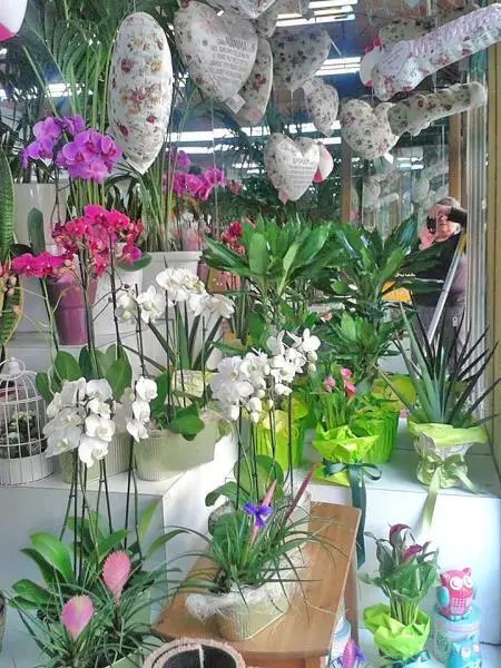 Images Marcella Fiori