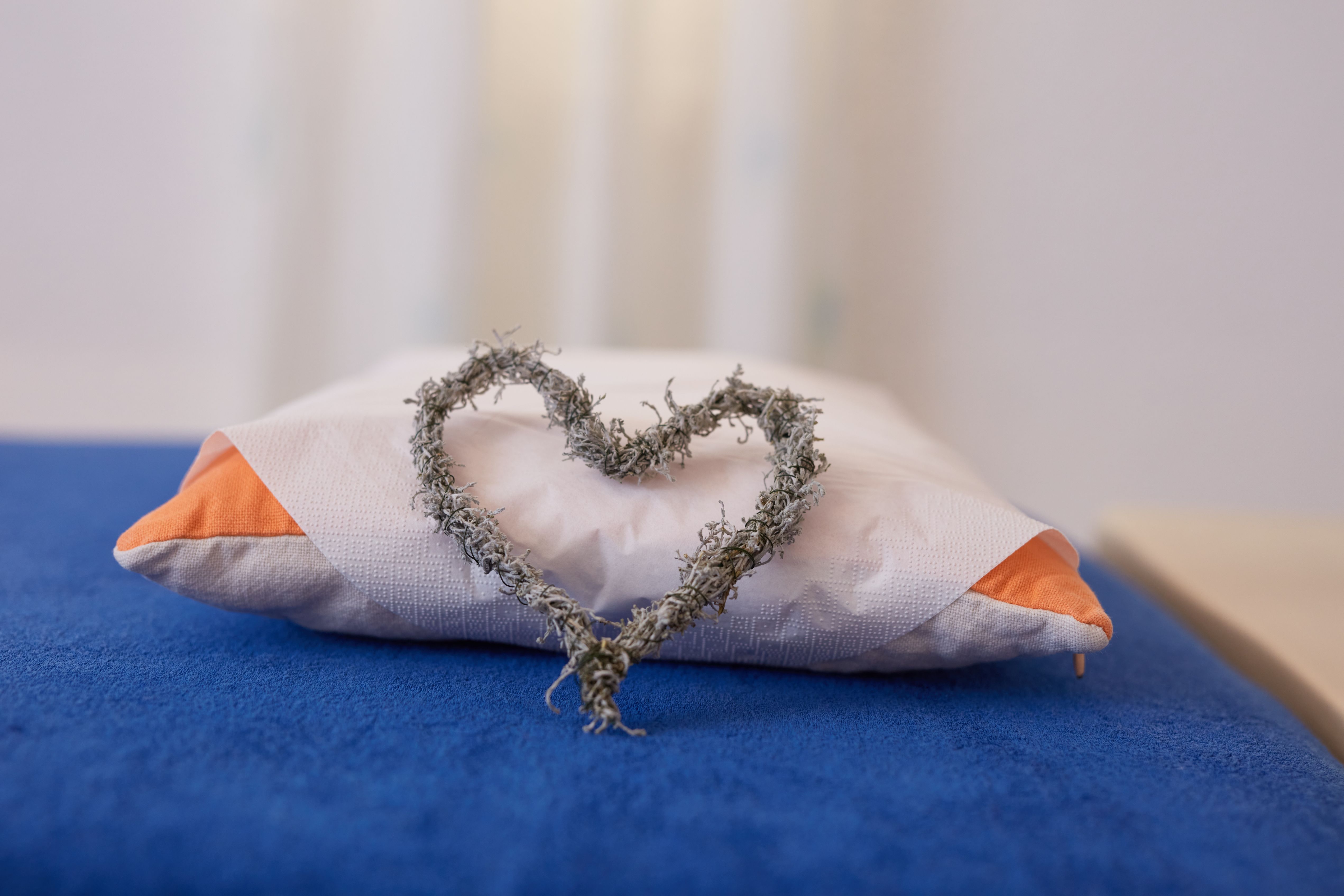 Bilder Praxis für Gesundheit | Craniosacral Therapie und Naturheilkunde TEN | Wohlgenannt Isabelle