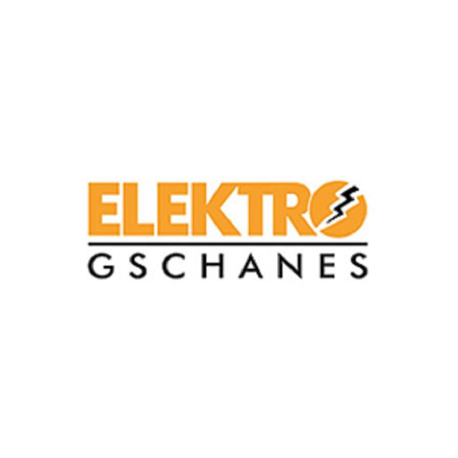 Elektro Gschanes  8212 Pischelsdorf am Kulm Logo